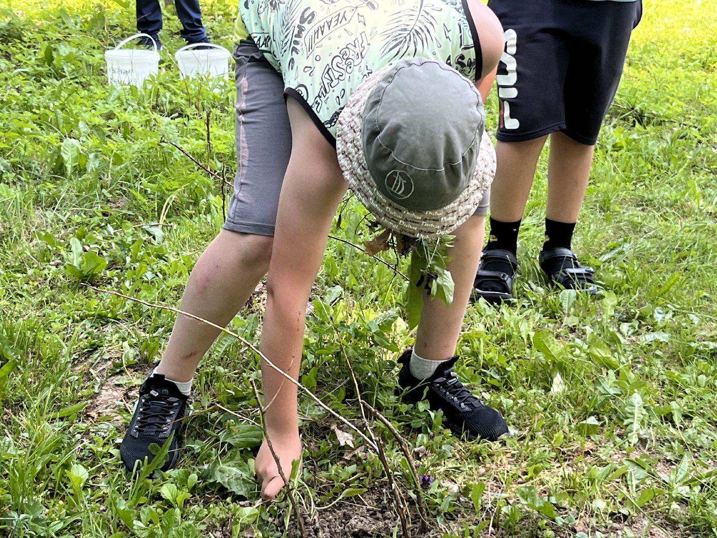 Наро-Фоминский городской округ, Верея, пришкольный лагерь, трудовые бригады, лето в Подмосковье