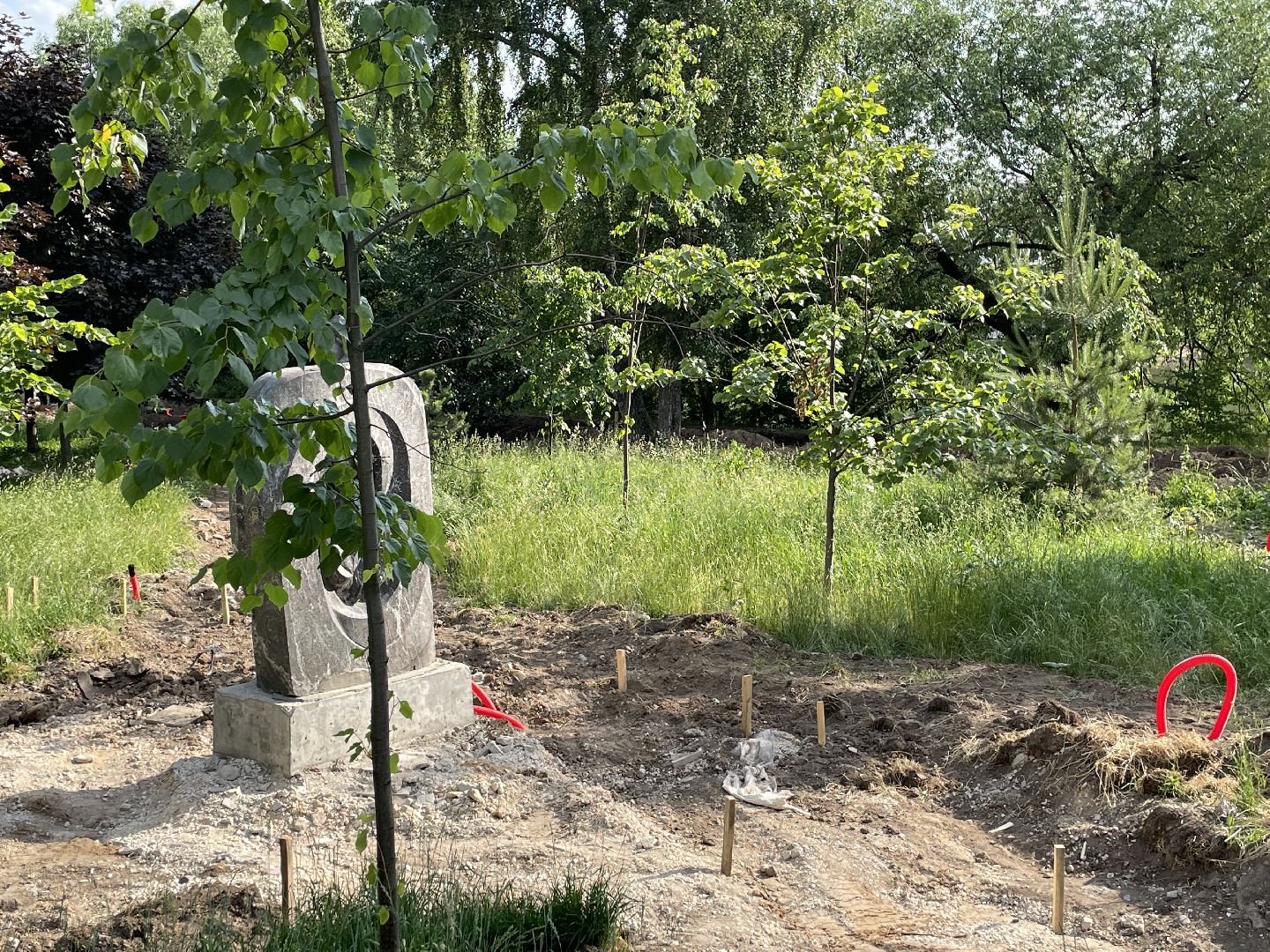 Парк, благоустройство, реновация, строительство