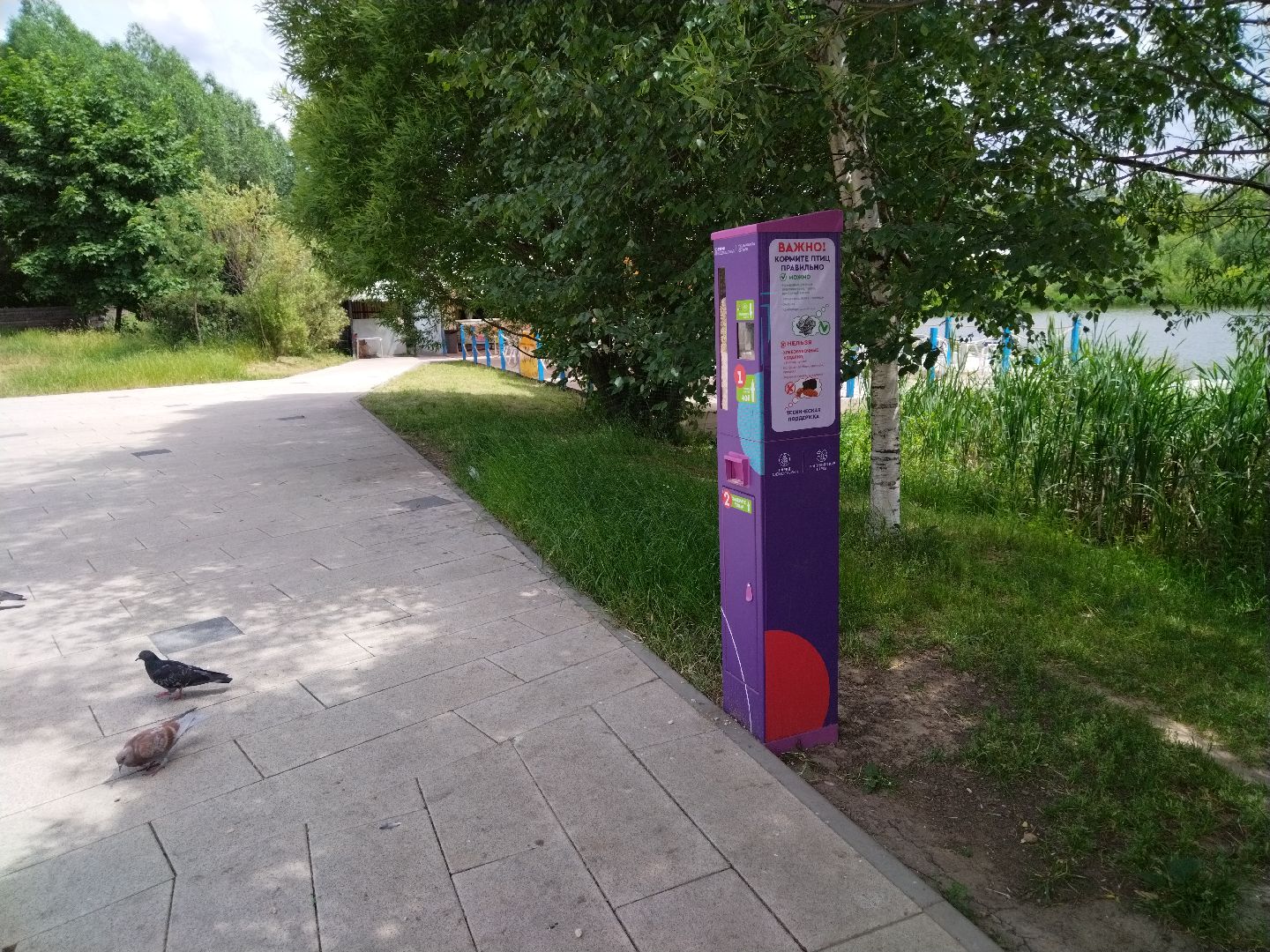 Мытищи, Автомат для кормления уток, Парк