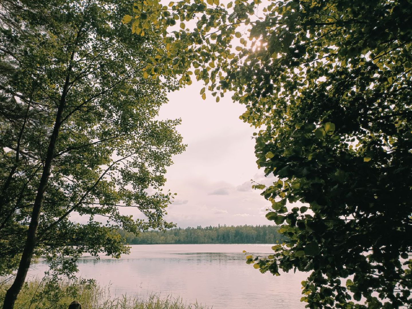 #Православныеваряги#БольшаяШатура#Покровскийхрам#семейныйлагерь