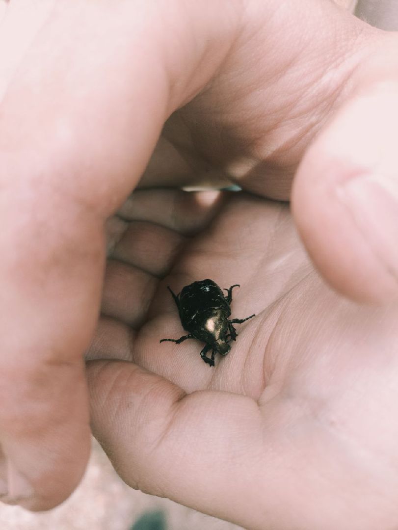 #Православныеваряги#БольшаяШатура#Покровскийхрам#семейныйлагерь