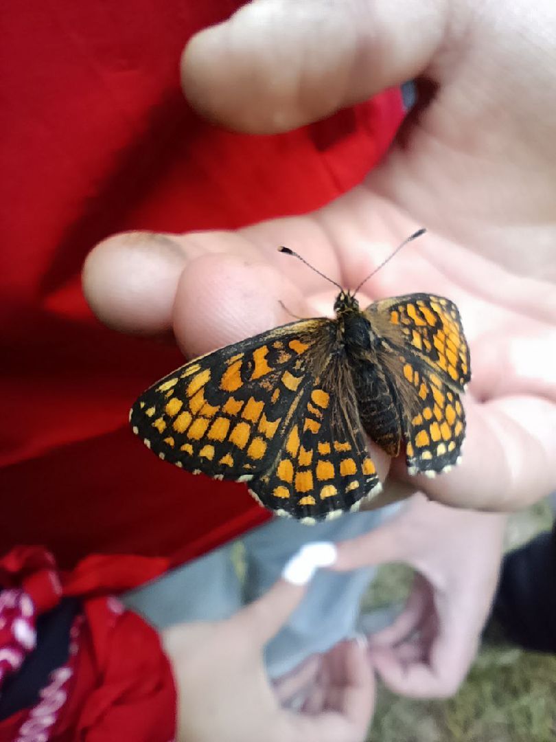 #Православныеваряги#БольшаяШатура#Покровскийхрам#семейныйлагерь