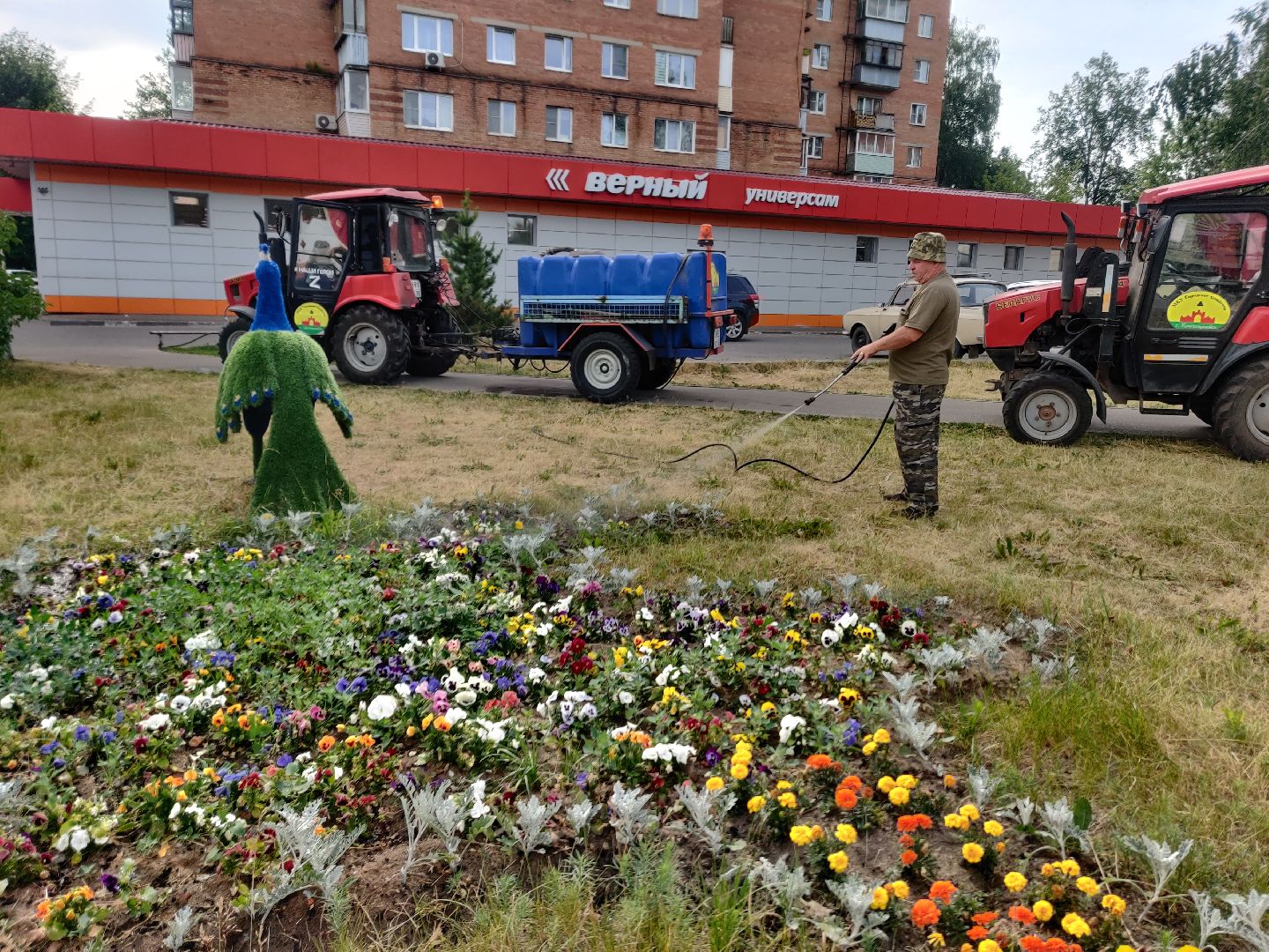 Красноармейск, Пушкинский, полив клумб, городские цветы, ЖКХ