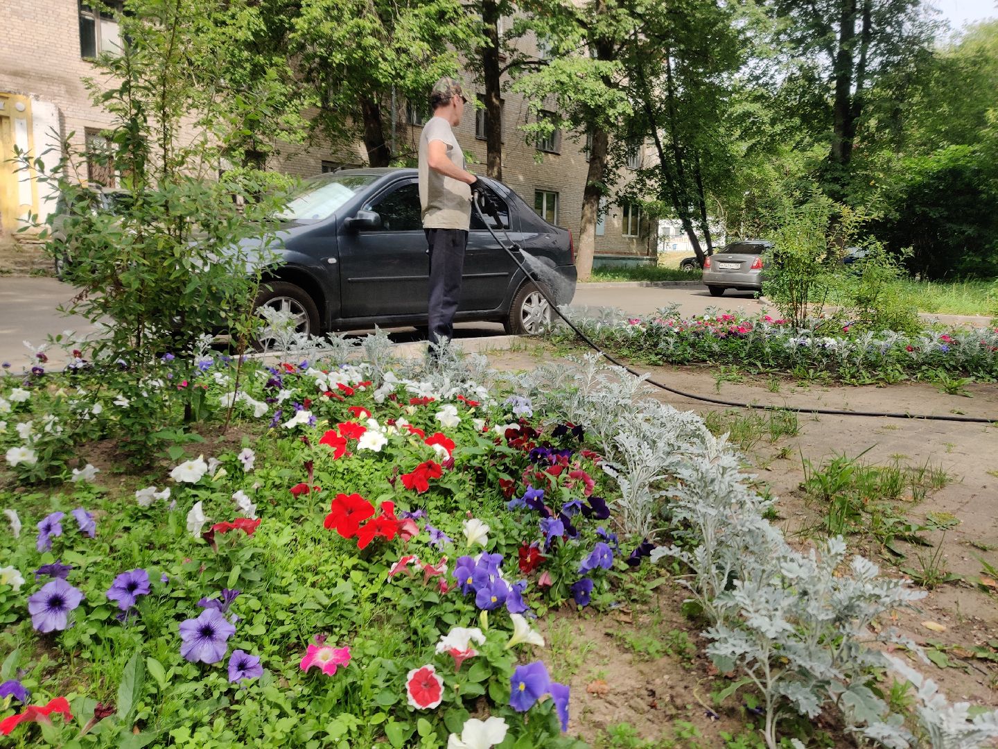 Красноармейск, Пушкинский, полив клумб, городские цветы, ЖКХ