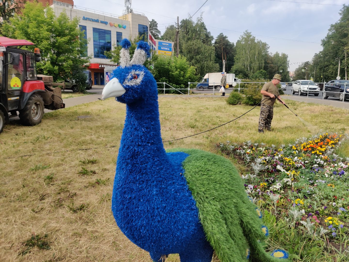 Красноармейск, Пушкинский, полив клумб, городские цветы, ЖКХ