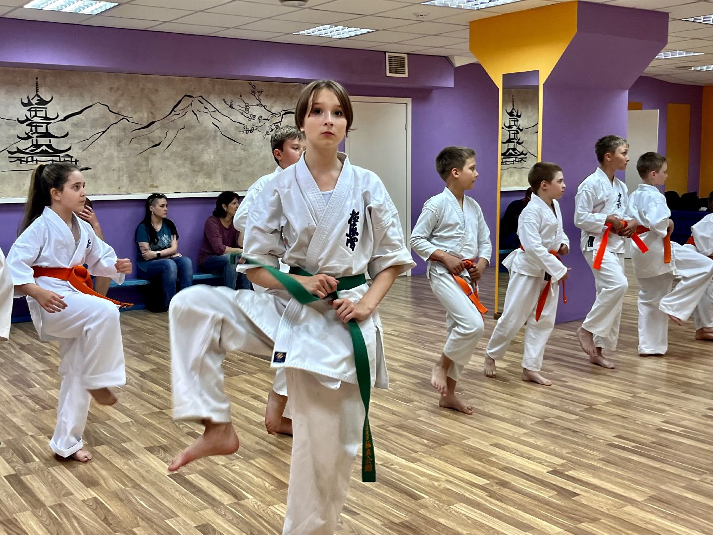 Наро-Фоминск, каратэ, киокушинкай, спорт Подмосковья, 10 кю, 4 дан, чёрный пояс