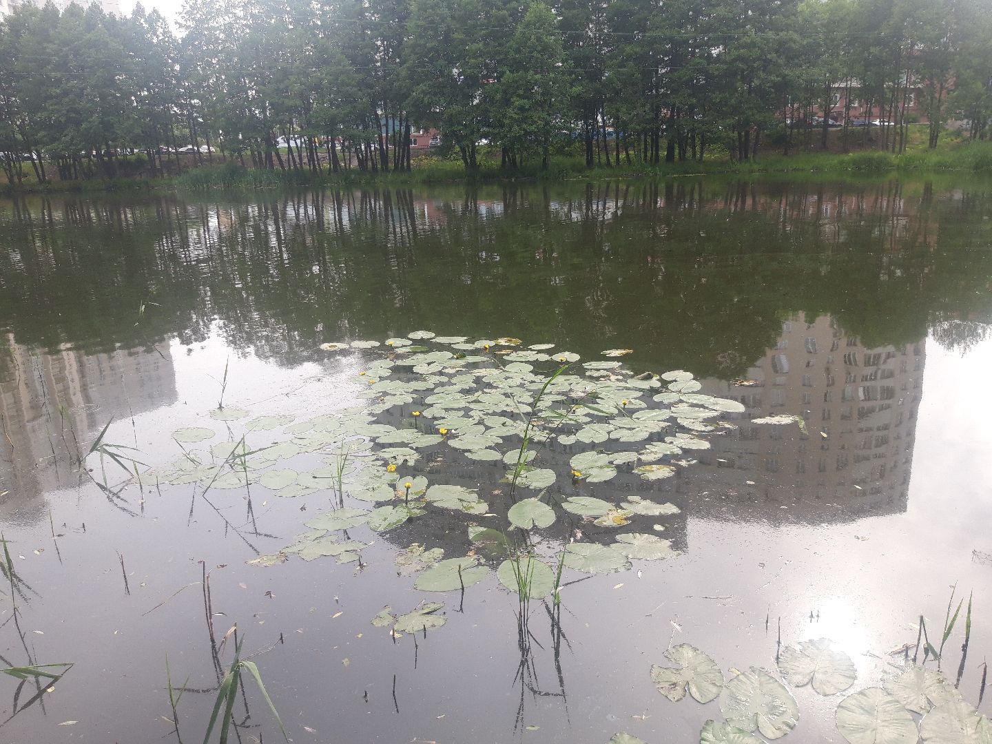 река, озеро,
