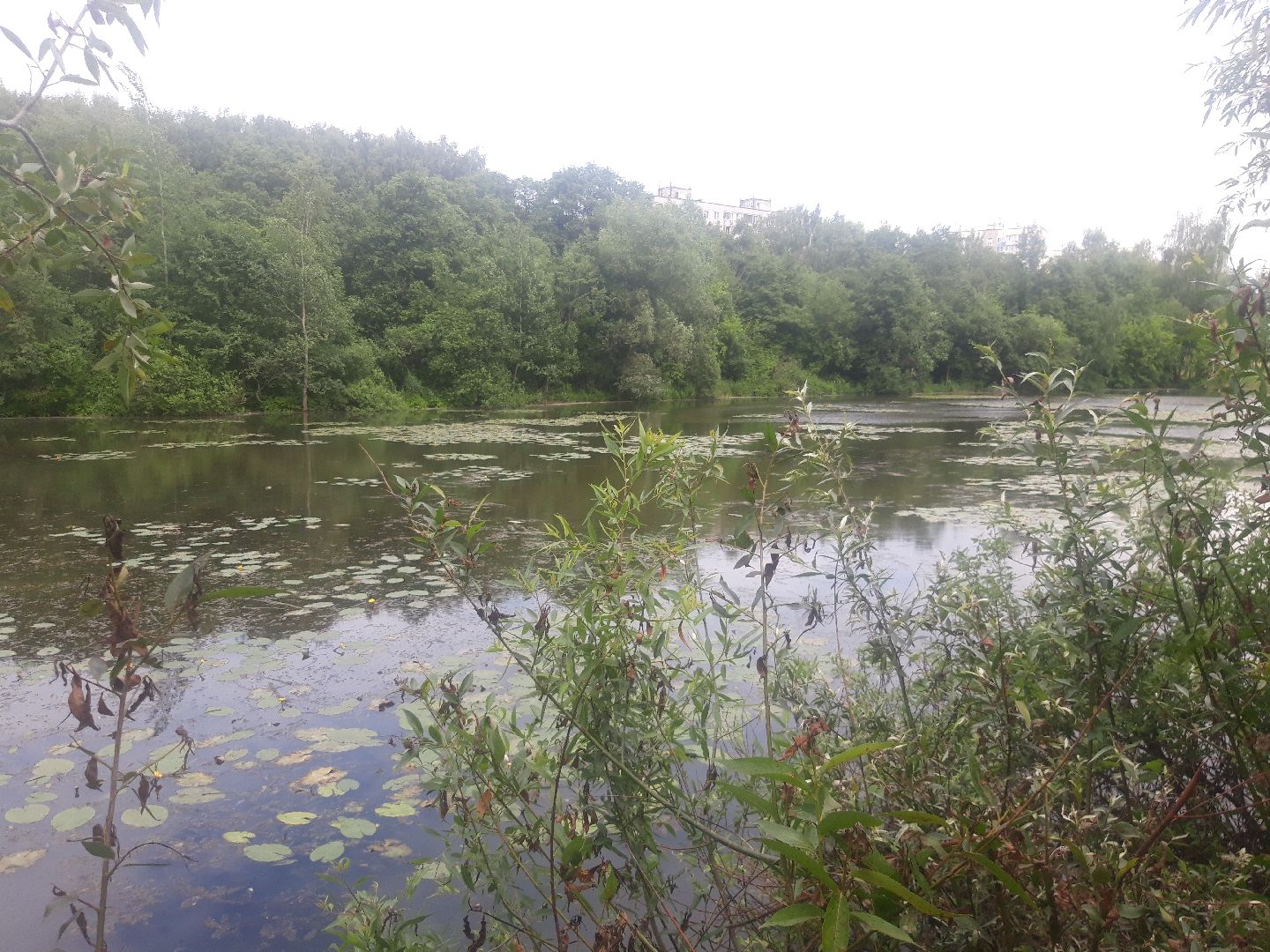 река, озеро,