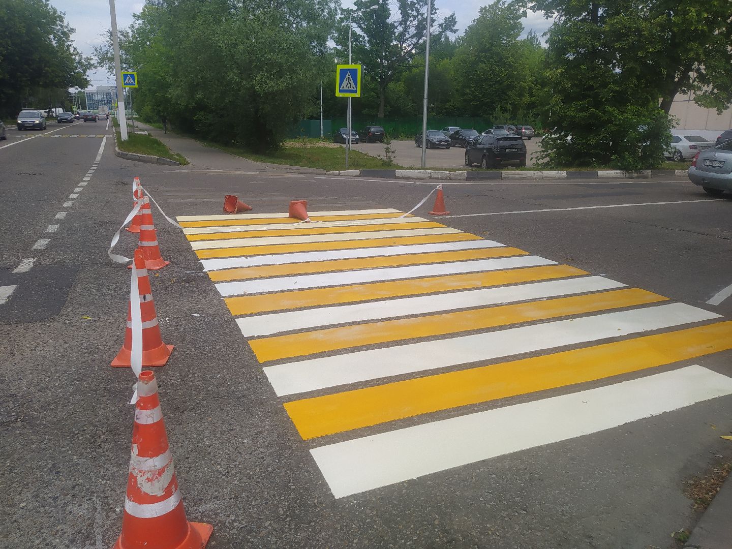 Дедовск, дороги, пешеходный переход