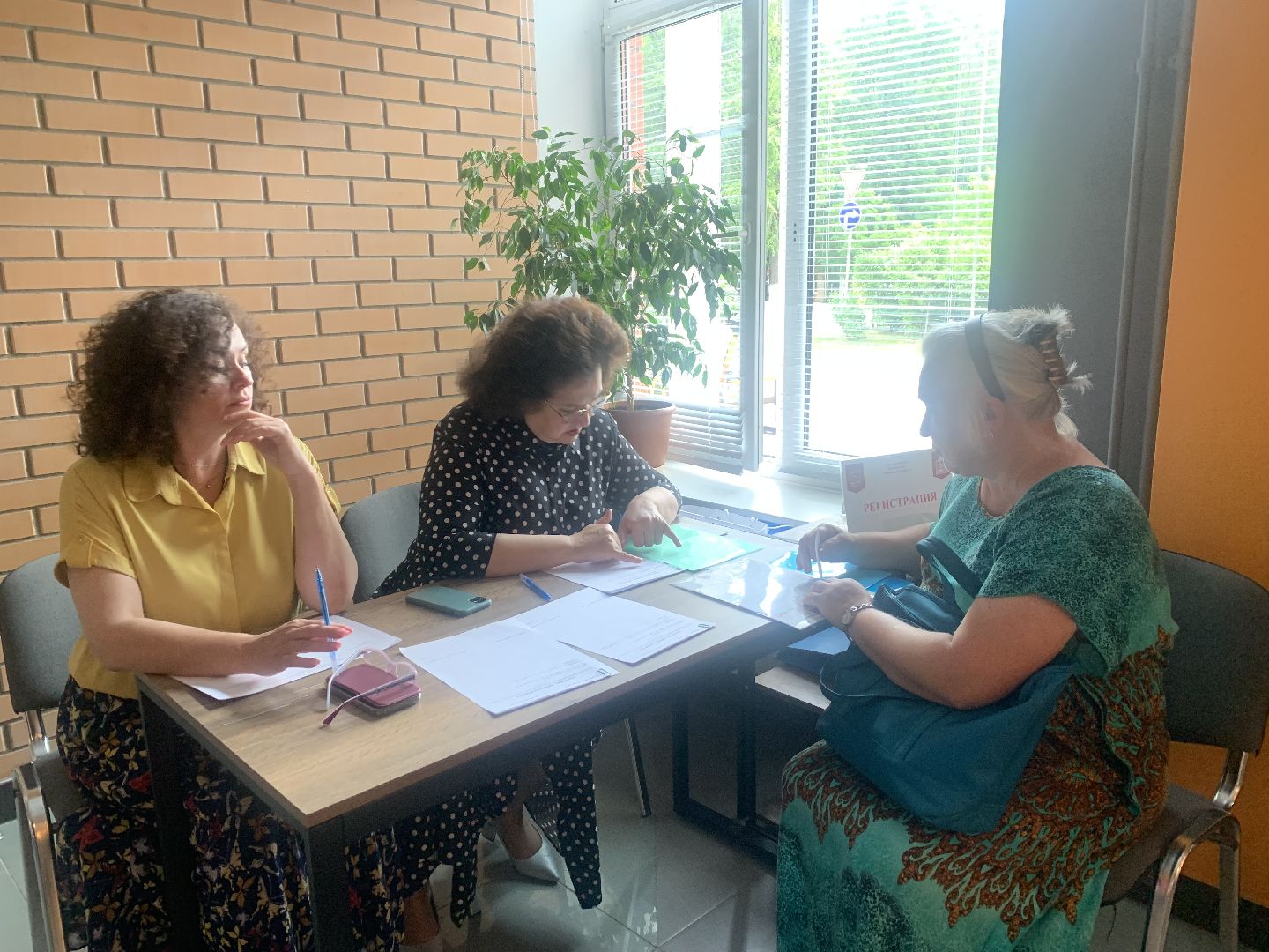 Благоустройство, жители, двор,выгул собак