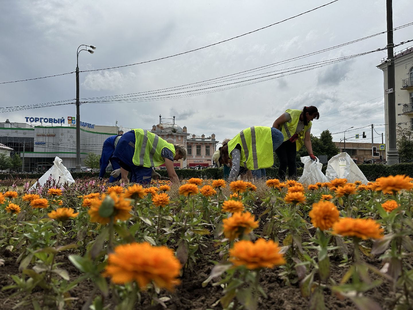 Клин, благоустройство, перемены, цветы, общество