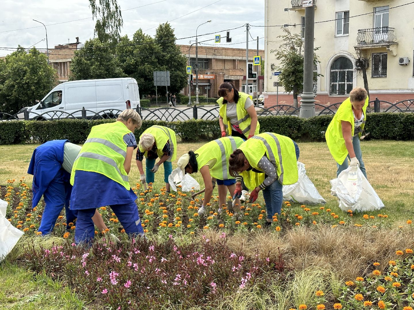 Клин, благоустройство, перемены, цветы, общество