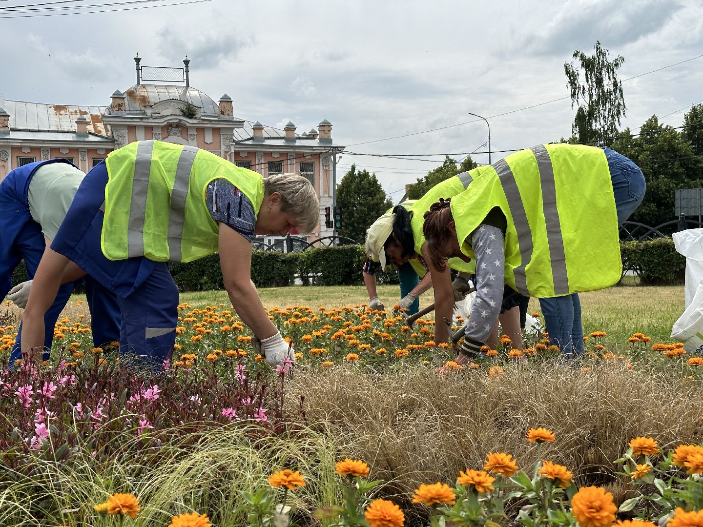 Клин, благоустройство, перемены, цветы, общество