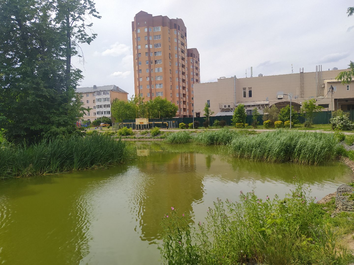 Дедовск, пруд, место притяжёния