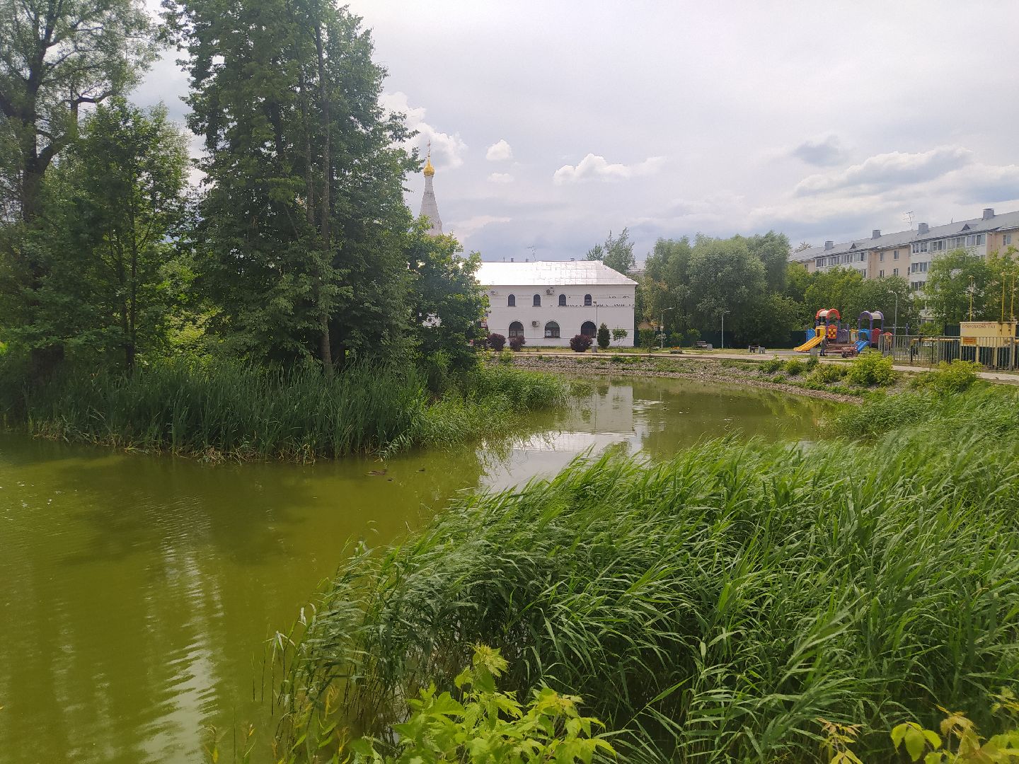 Дедовск, пруд, место притяжёния