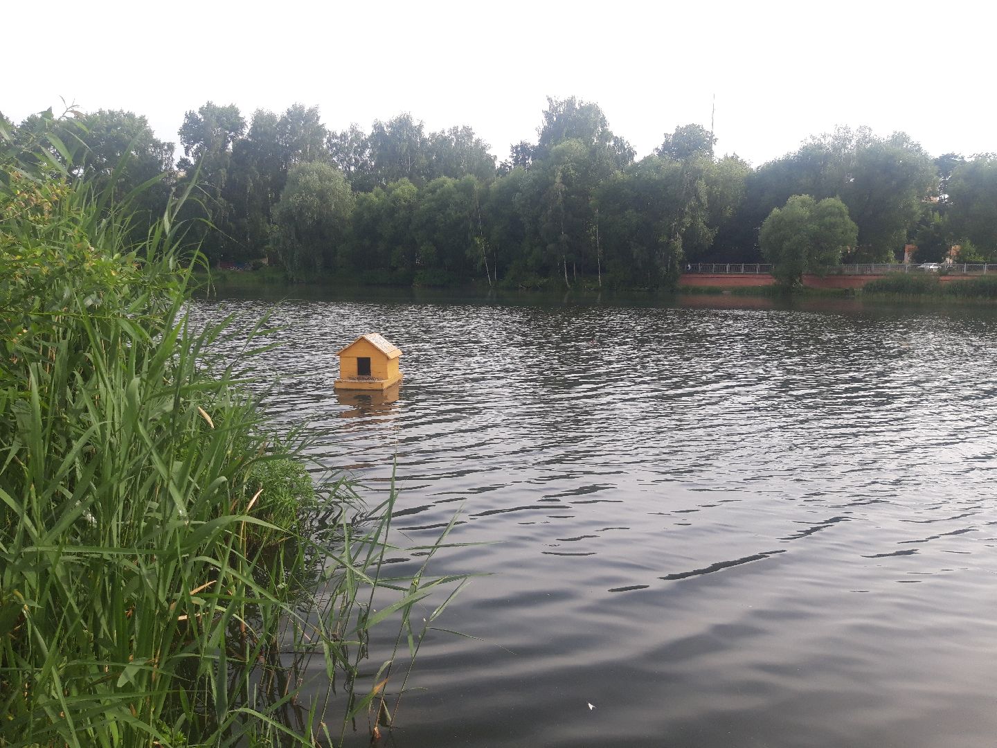 река, доброе дело,