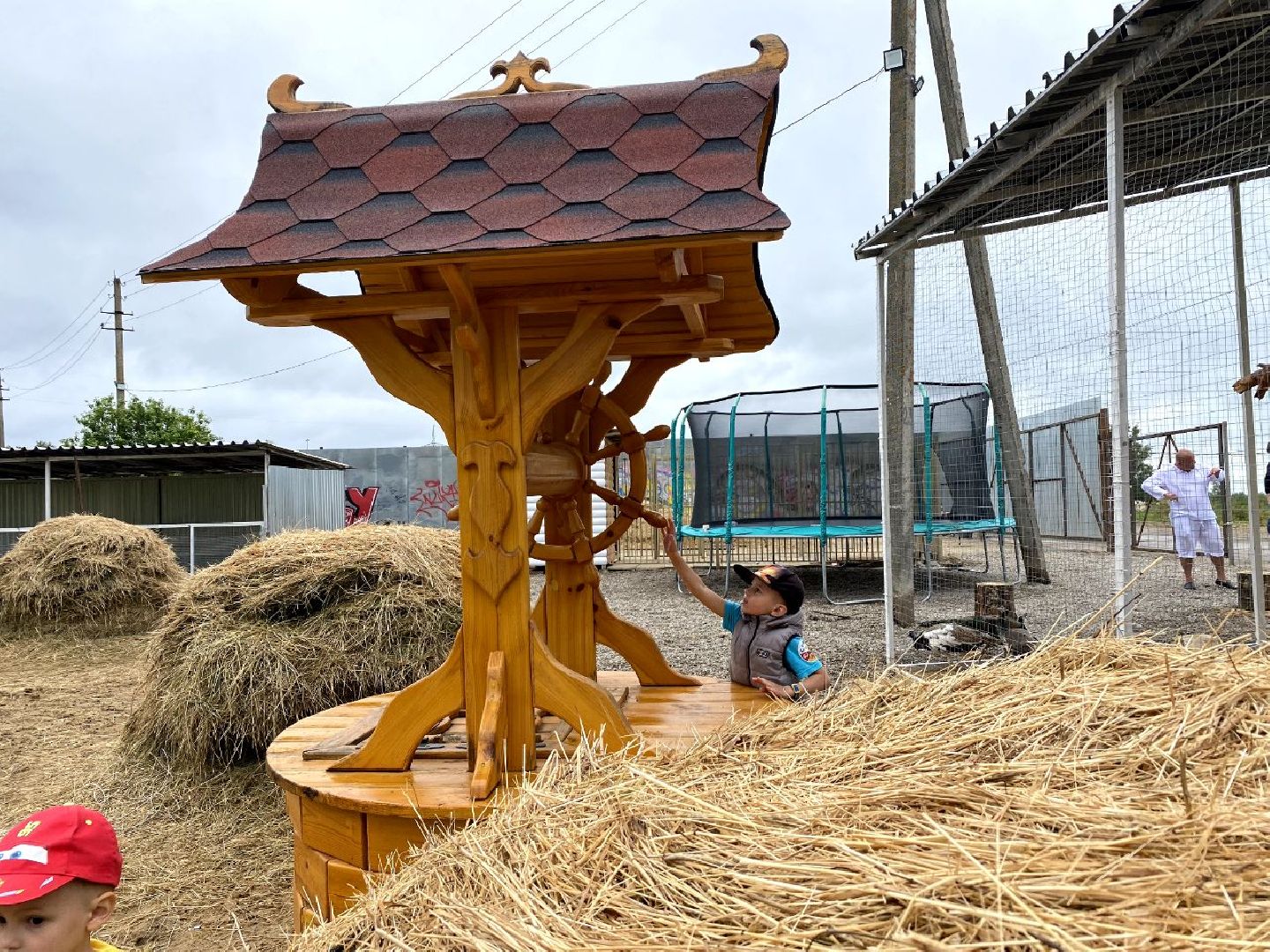 контактный зоопарк, Воскресенск, фермер, животные, павлины