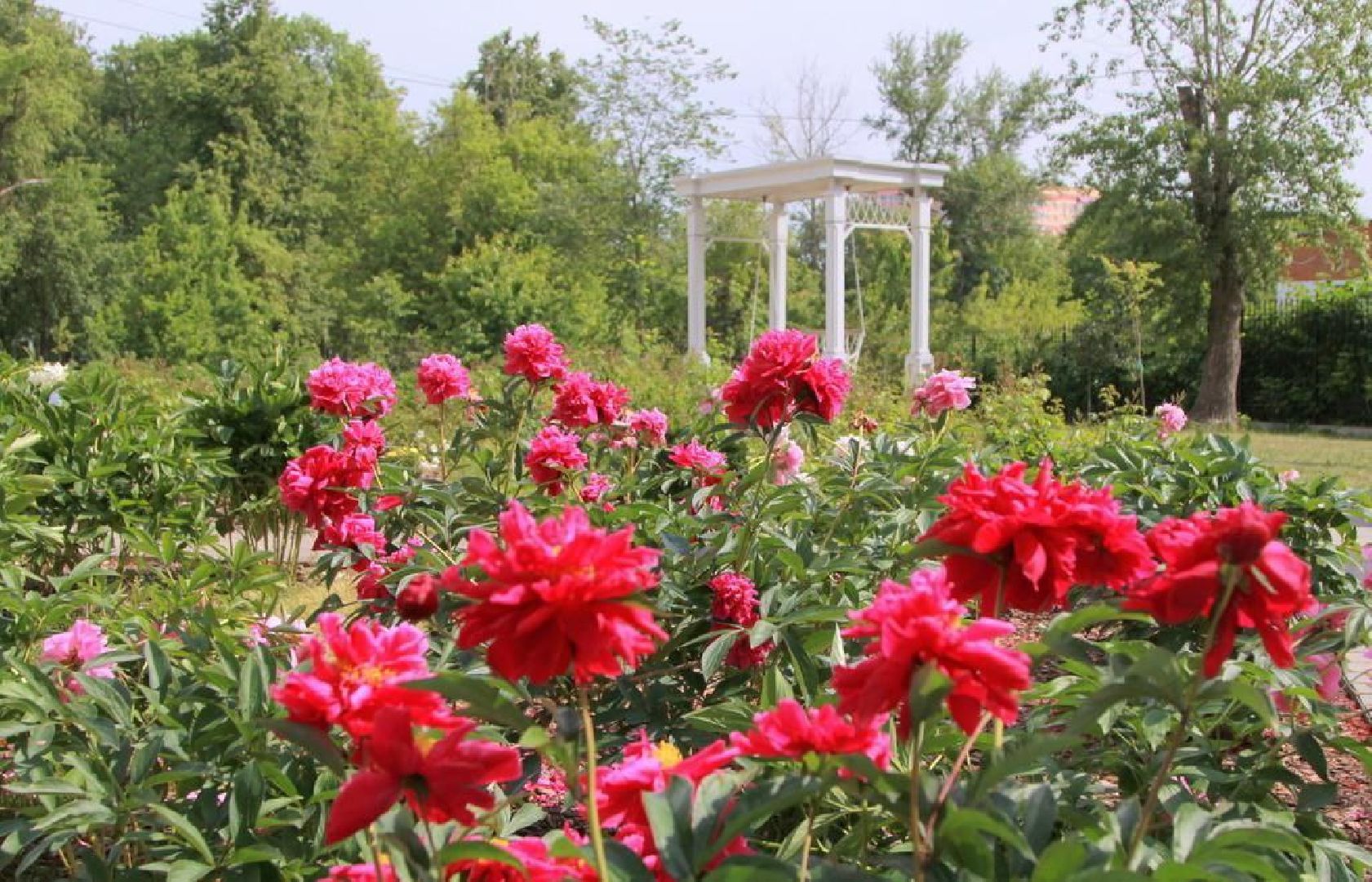 парки Подмосковья, Кривякино, Воскресенск