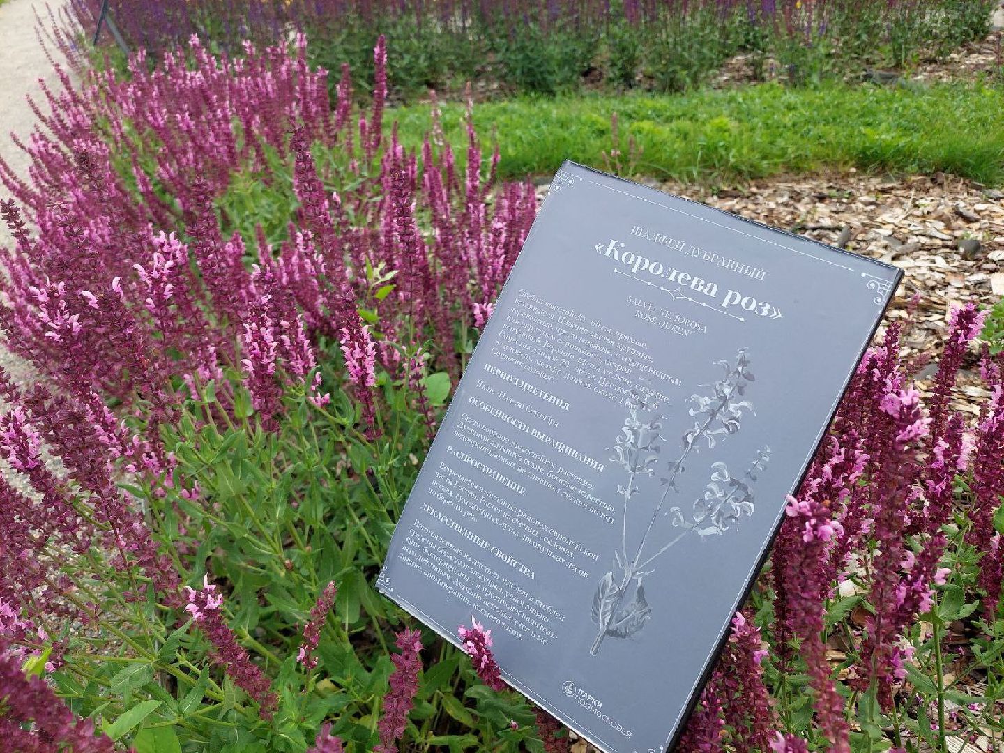 парки Подмосковья, Кривякино, Воскресенск