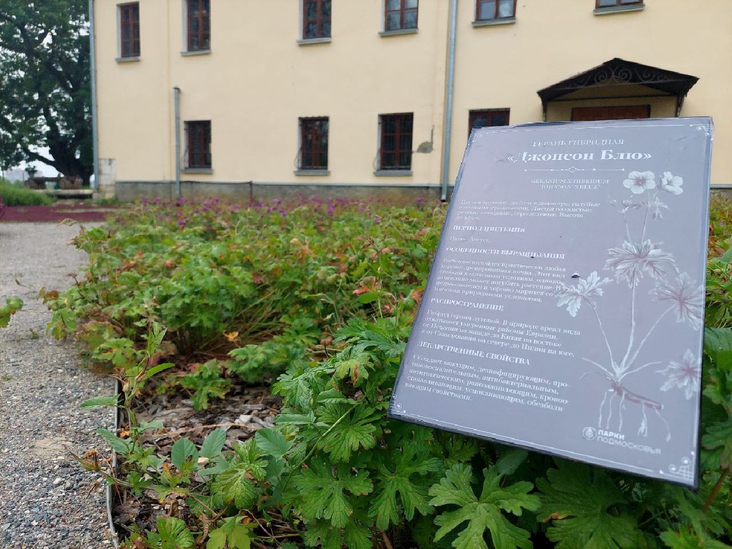 парки Подмосковья, Кривякино, Воскресенск