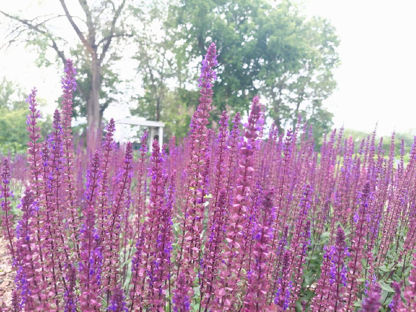 парки Подмосковья, Кривякино, Воскресенск