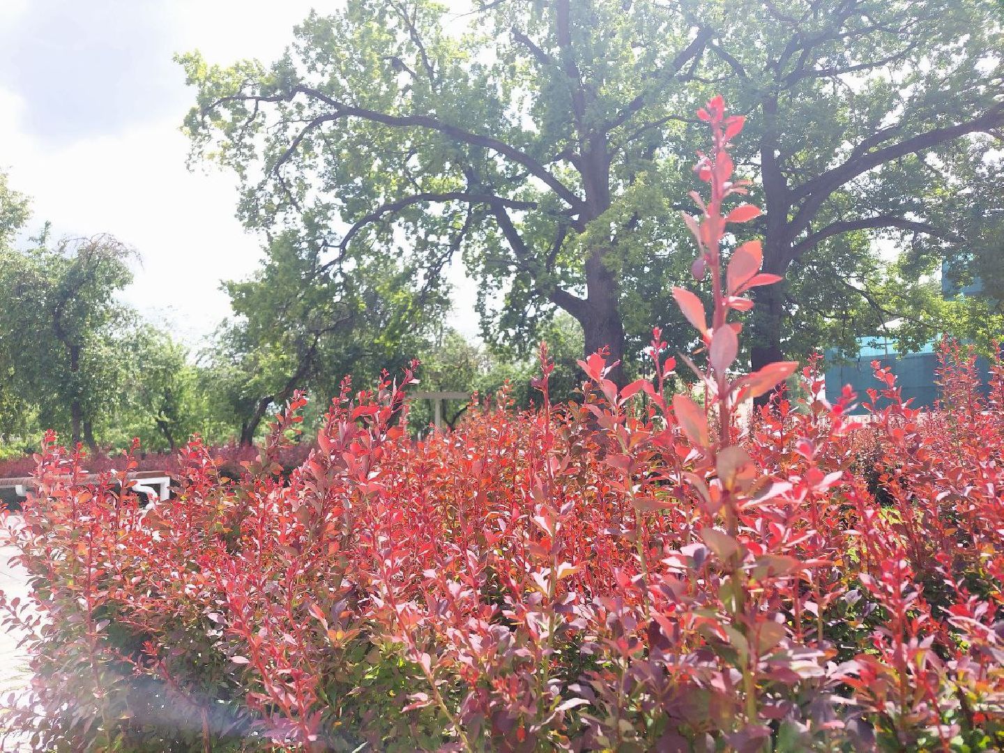 парки Подмосковья, Кривякино, Воскресенск