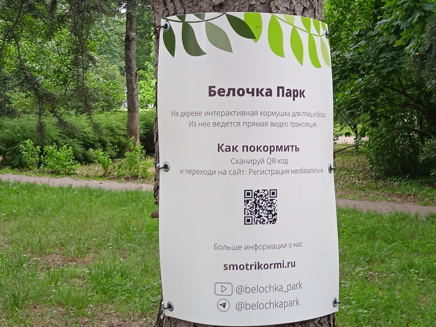 Белочка-парк, интерактивная, кормушка, белки