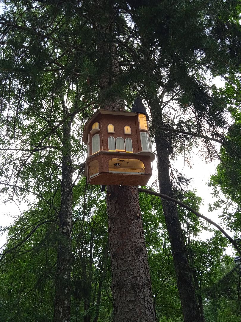 Белочка-парк, интерактивная, кормушка, белки