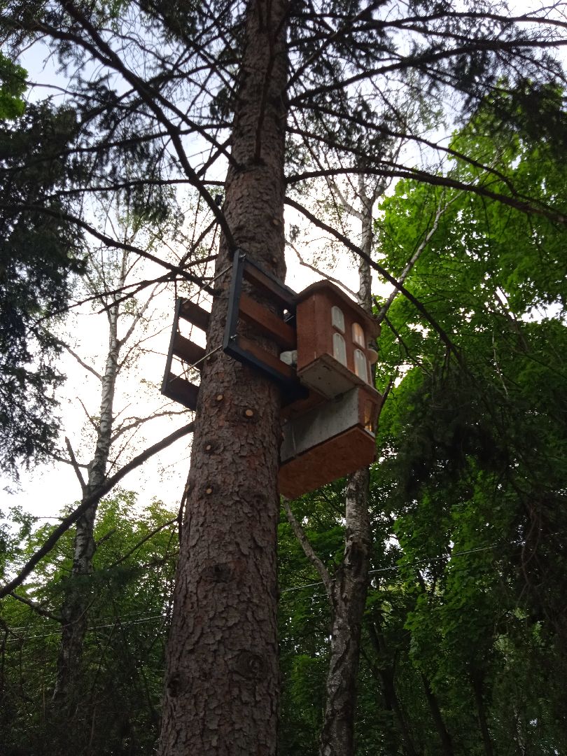 Белочка-парк, интерактивная, кормушка, белки