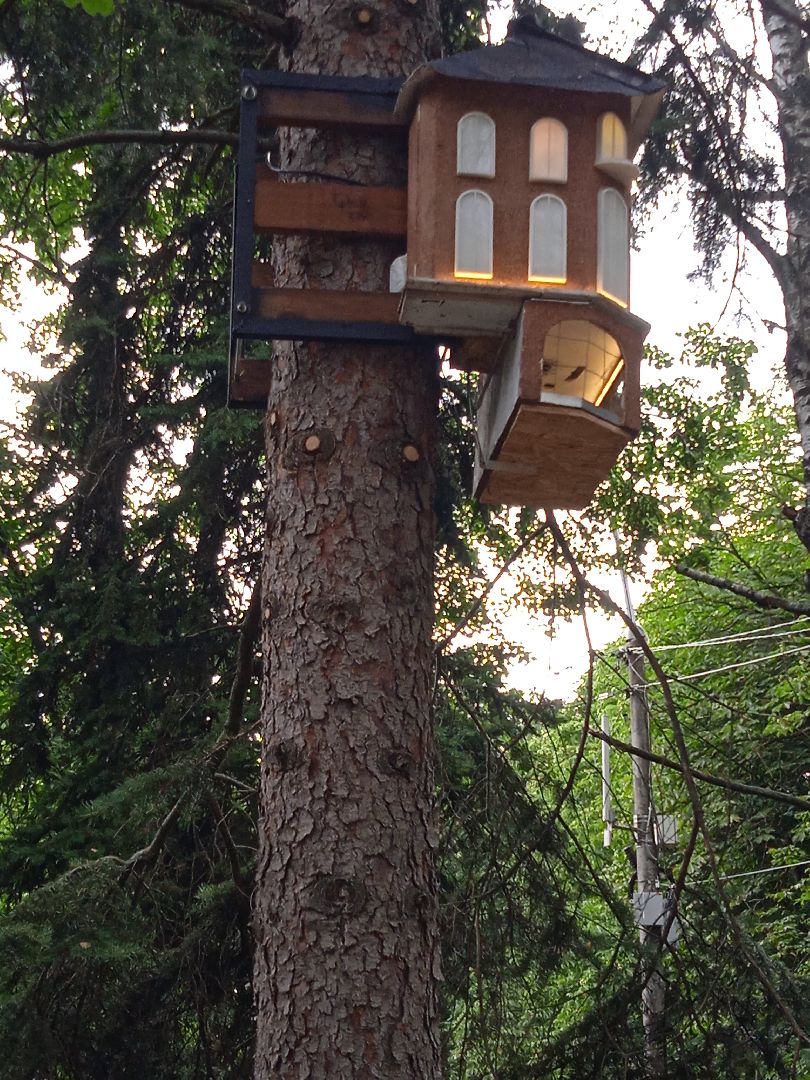 Белочка-парк, интерактивная, кормушка, белки