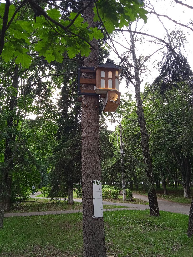 Белочка-парк, интерактивная, кормушка, белки