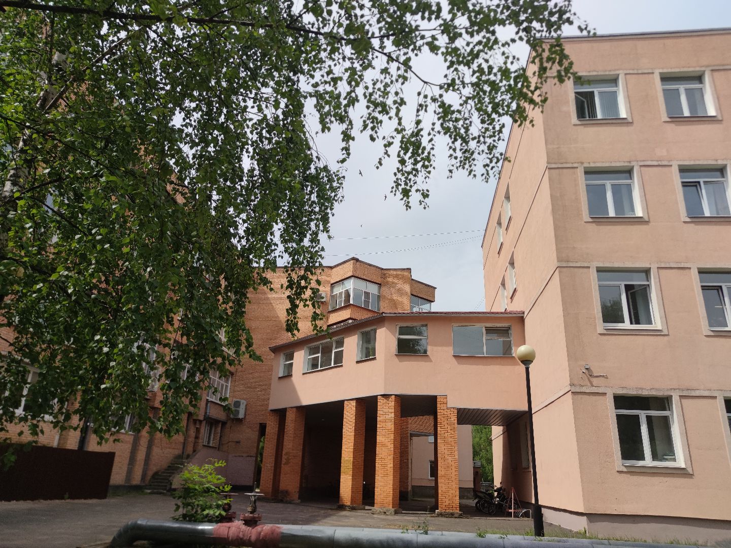 Грант, выигрыш, конкурс, Росмолодежь, Дубна