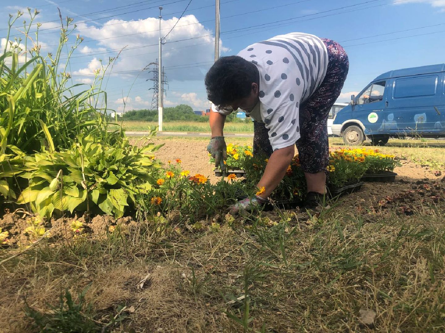 Подольск, цветы, благоустройство, клумбы