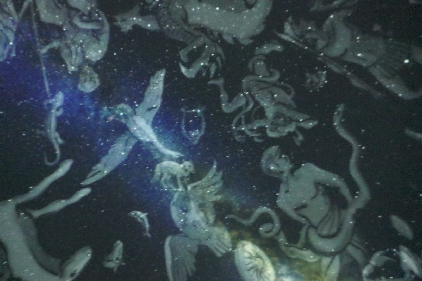 Подольск, наука, космодром, Благовещенск, спутник, УмКА