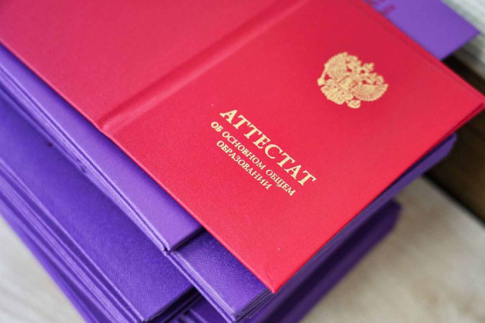 Сергиев Посад, Сергиево-Посадский городской округ, Образование, Выпускники, Лицей, Строительство школ, Праздник, Знания