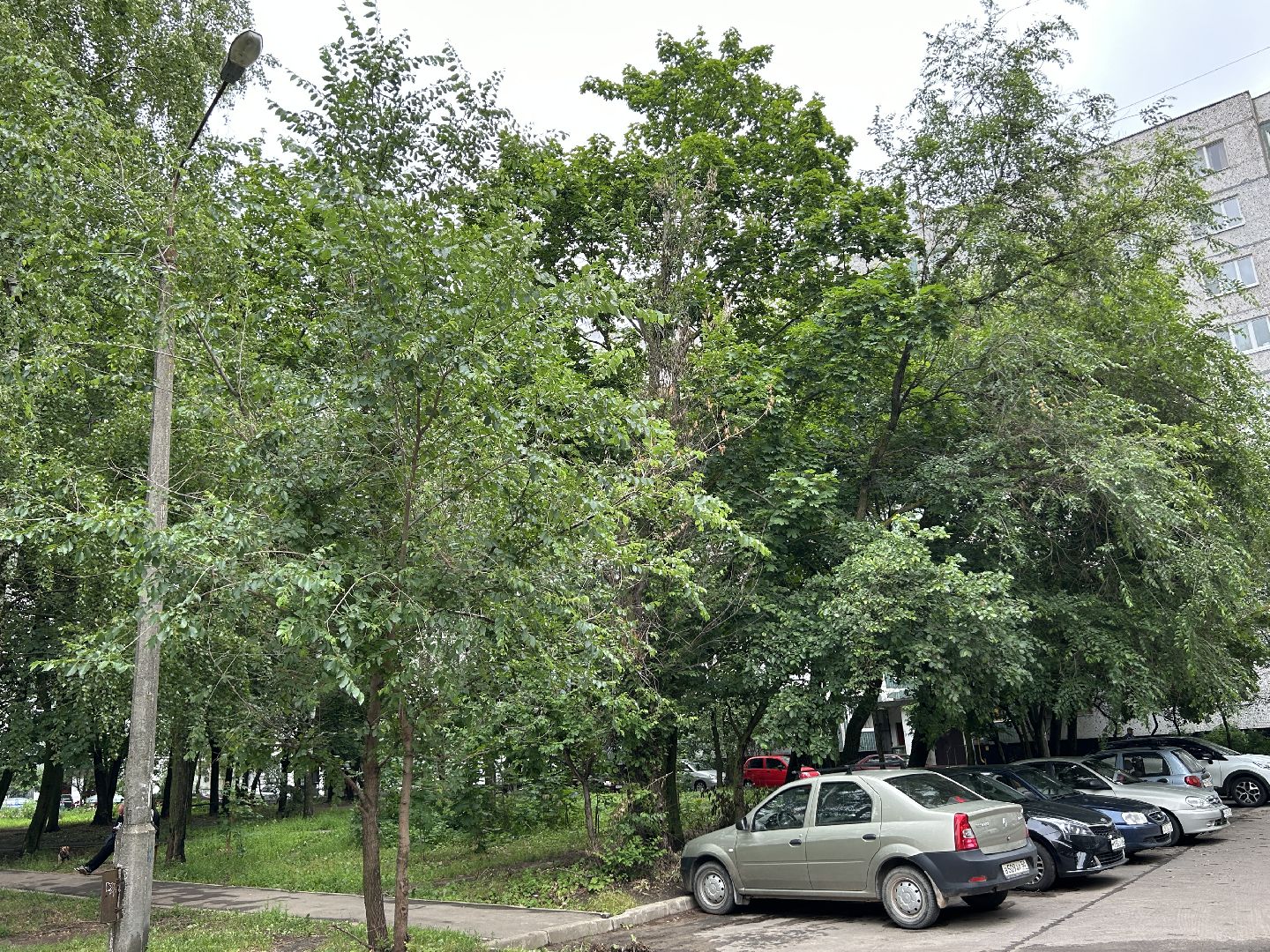 освещение, благоустройство, Фрязино