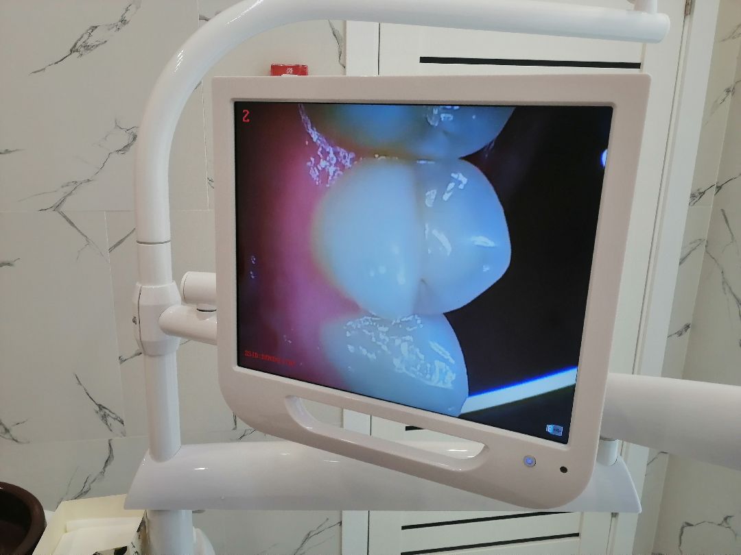 поддержка, бизнес, предприниматели, Протвино