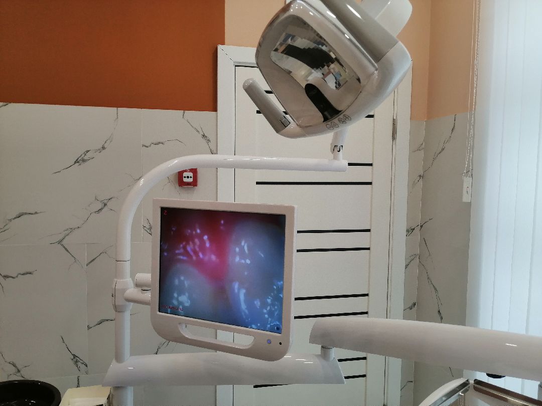 поддержка, бизнес, предприниматели, Протвино