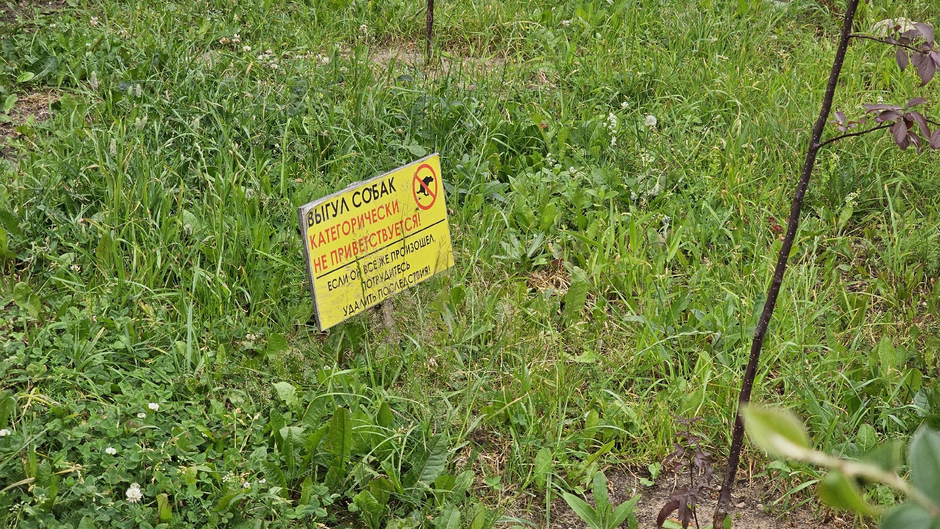 стрижка газонов, управляющая компания, благоустройство, Котельники