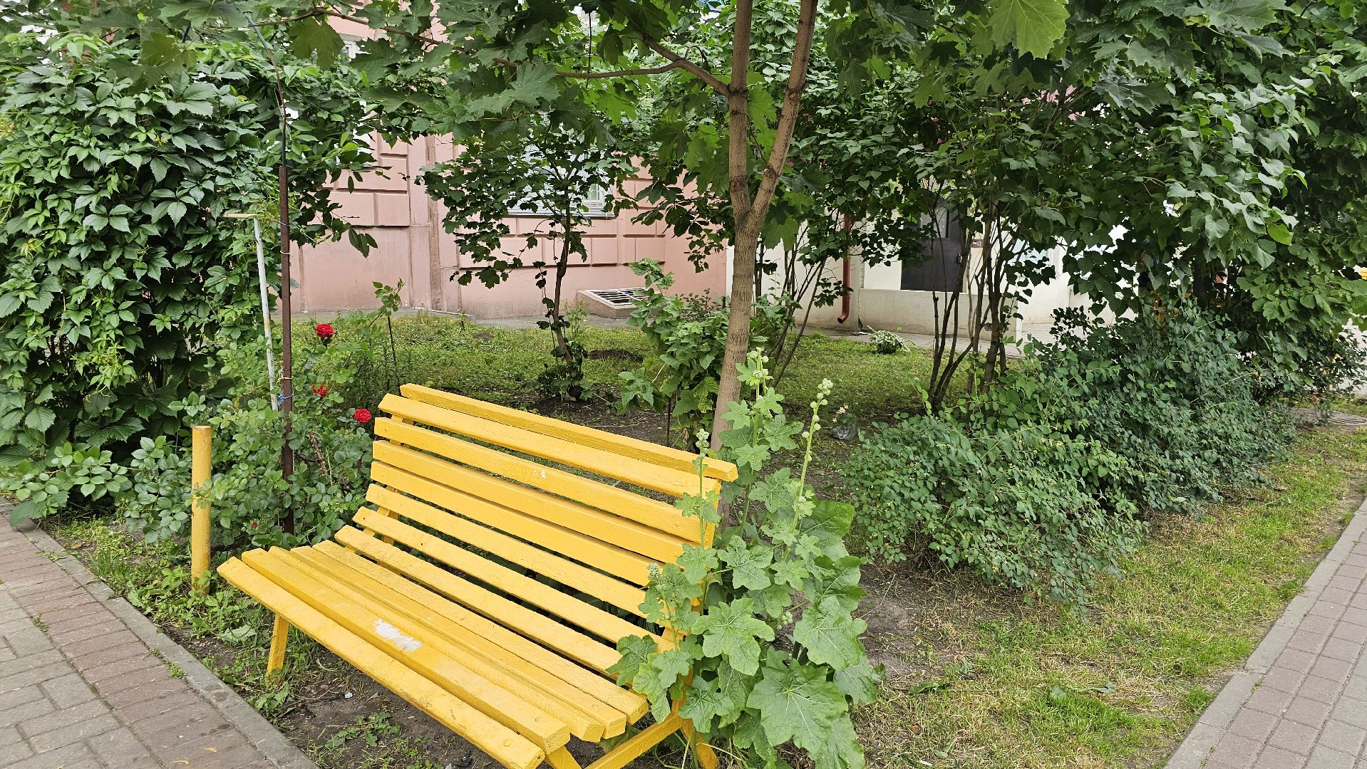 стрижка газонов, управляющая компания, благоустройство, Котельники