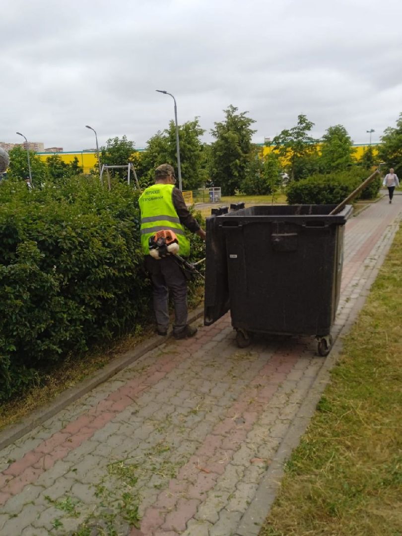 стрижка газонов, управляющая компания, благоустройство, Котельники
