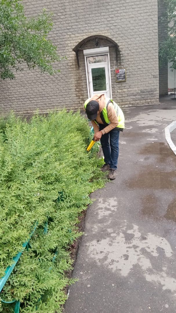 стрижка газонов, управляющая компания, благоустройство, Котельники