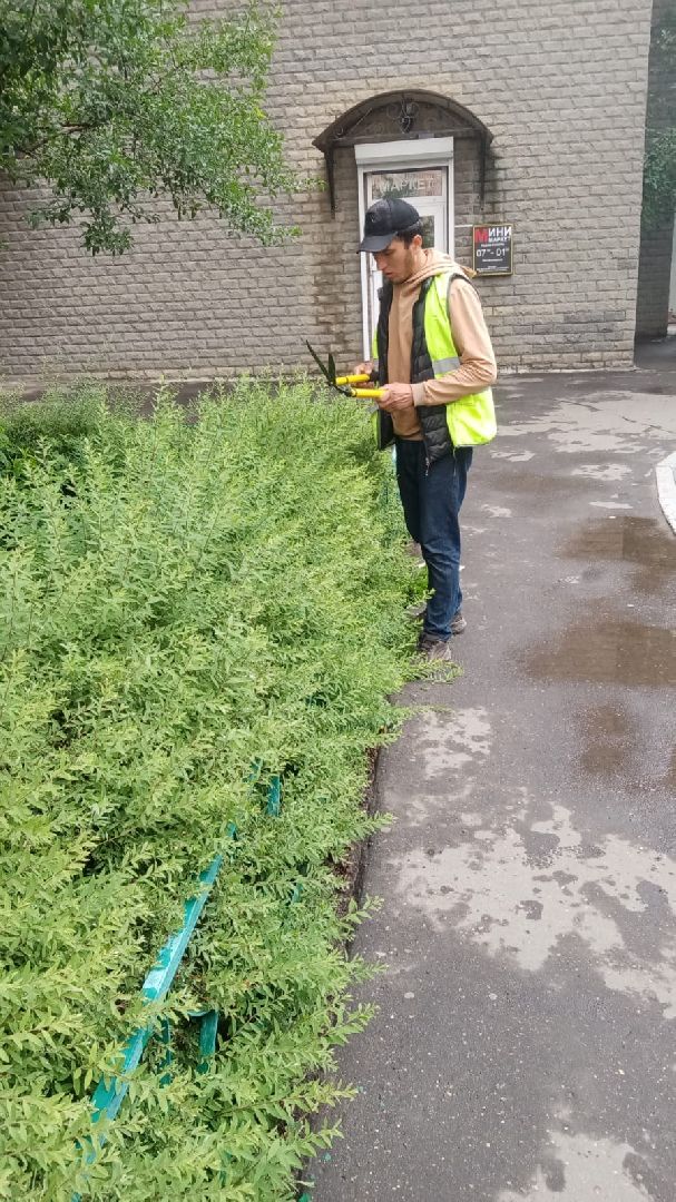 стрижка газонов, управляющая компания, благоустройство, Котельники