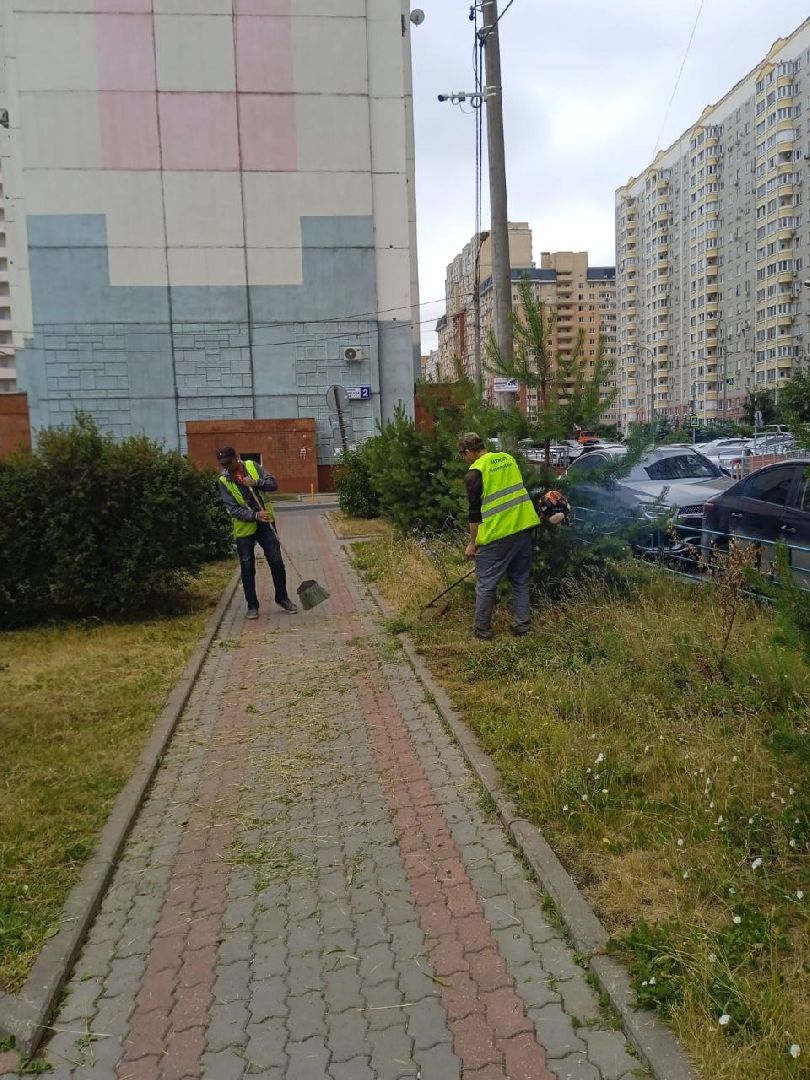 стрижка газонов, управляющая компания, благоустройство, Котельники