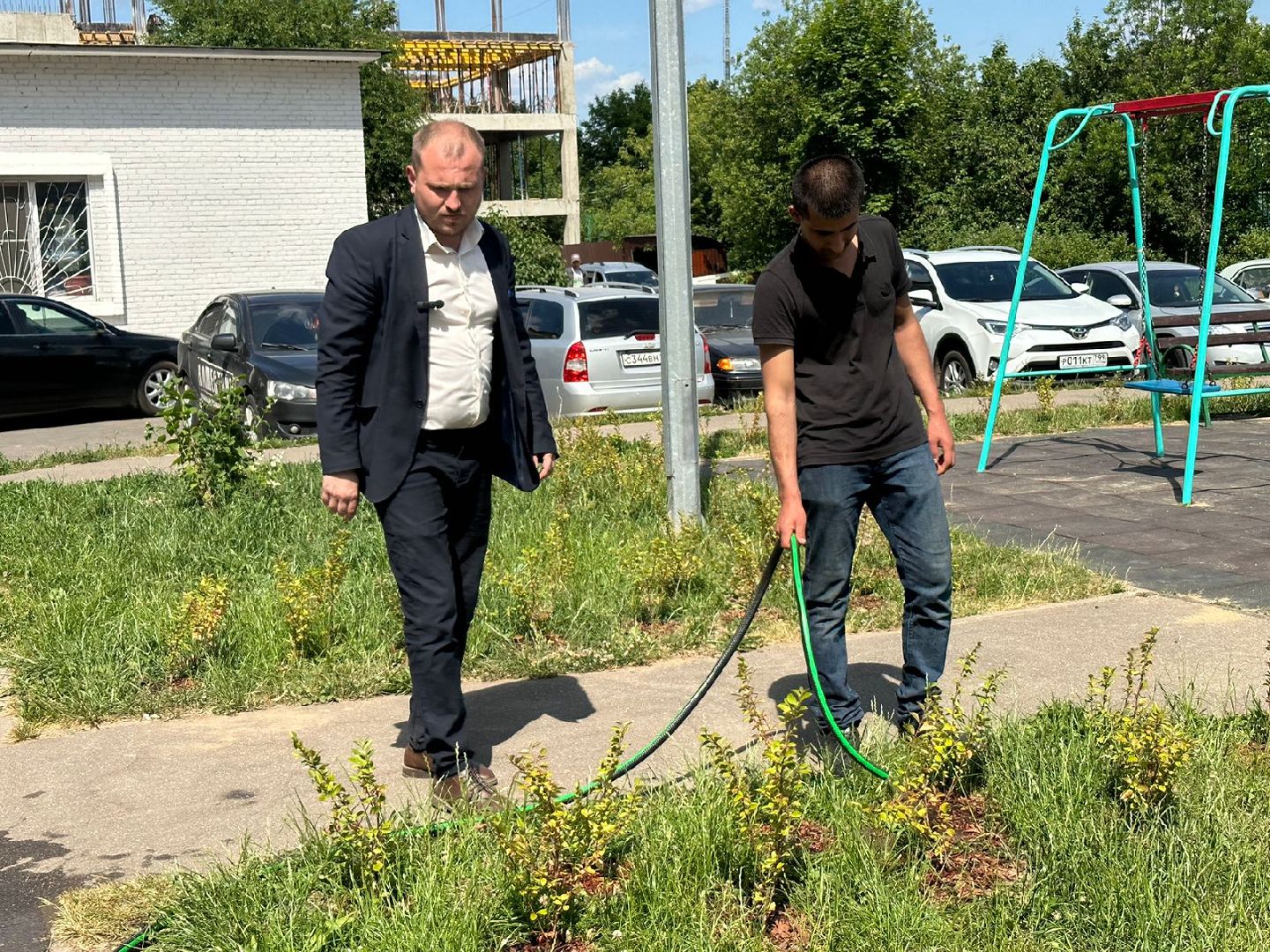 Живые изгороди, благоустройство, Селятино, ГУСТ