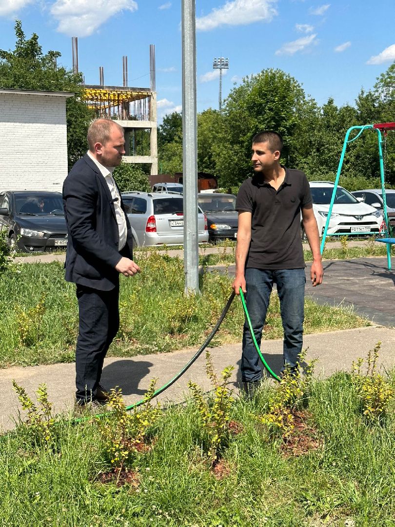 Живые изгороди, благоустройство, Селятино, ГУСТ