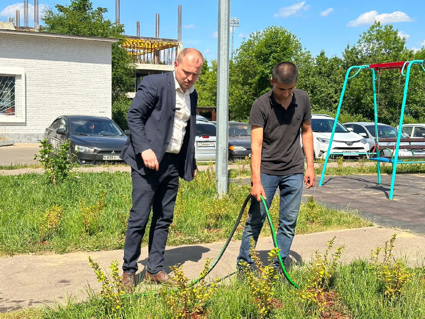 Живые изгороди, благоустройство, Селятино, ГУСТ