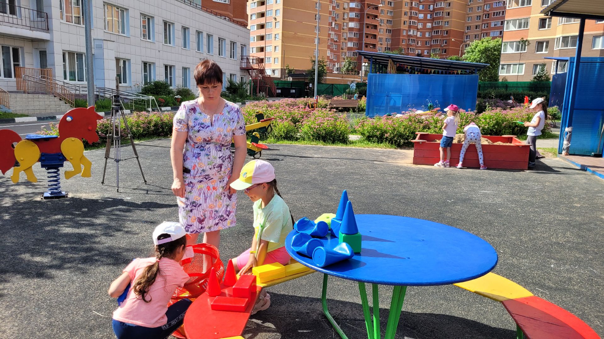 сертификат; видное; воспитатель; социальная поддержка