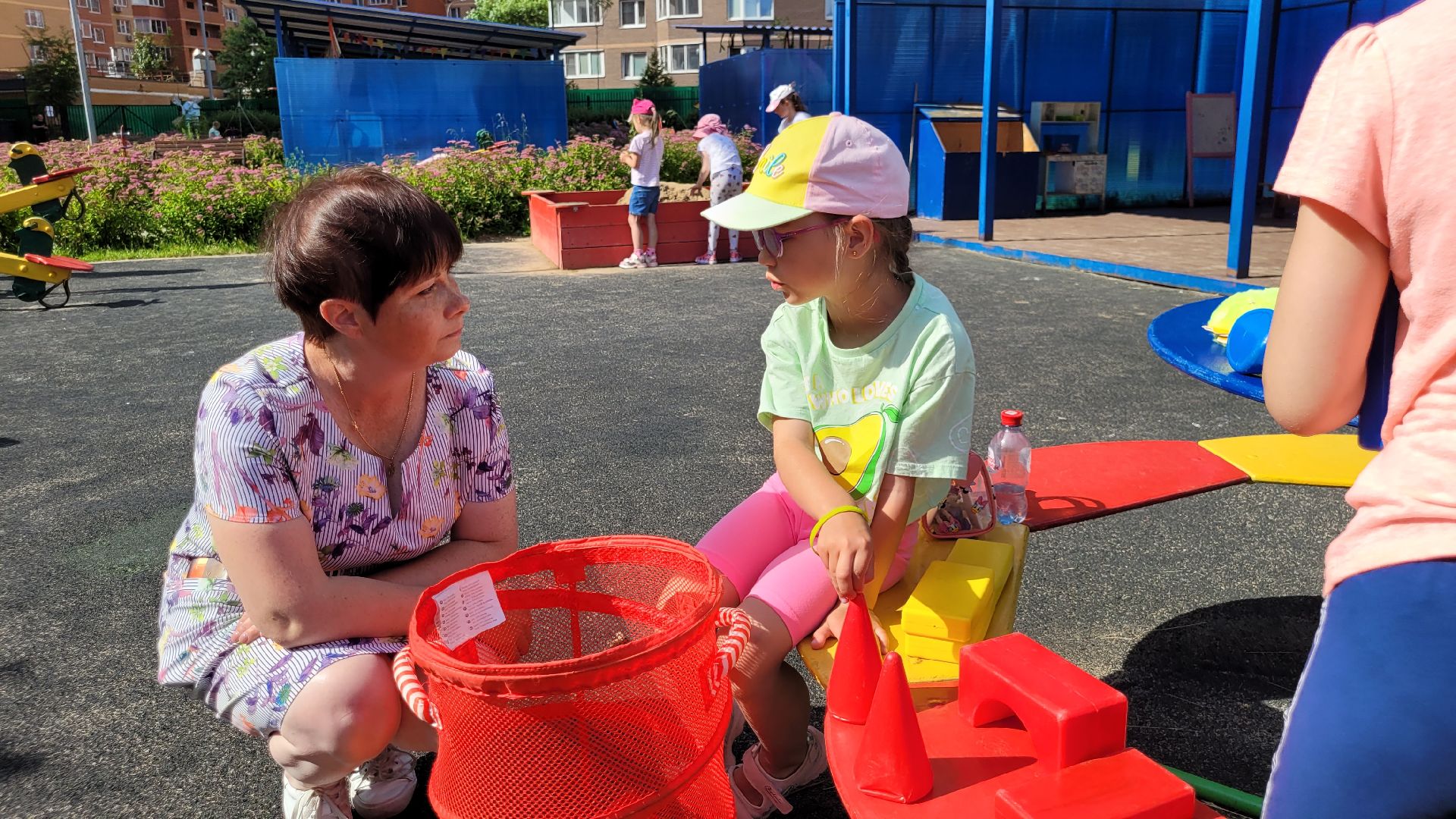 сертификат; видное; воспитатель; социальная поддержка