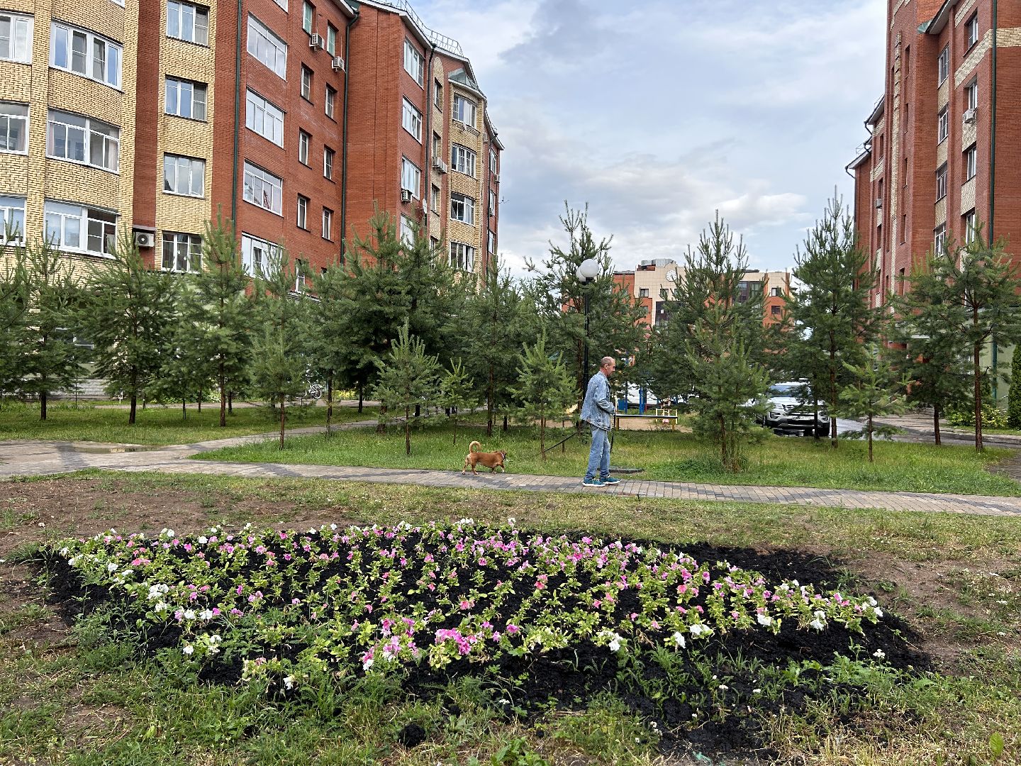 благоустройство, цветы, жители, Фрязино